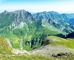 20180708 100737 2 (2278 visits) 20180708 100737 2