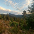 Donon trail