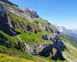 20180708 104456 2 (2129 visits) 20180708 104456 2