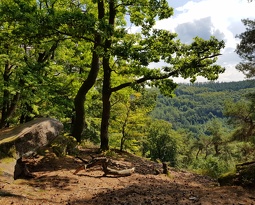 20180823 133818 (2695 visits) 20180823 133818