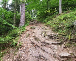 Tour de la Madeleine, St Dié
