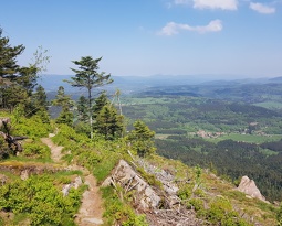 20180505 123757 (2417 visits) 20180505 123757