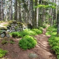 Rando Ottrott Dreistein Ste-Odile