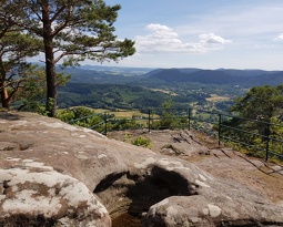 20180623 164429 (1916 visits) 20180623 164429