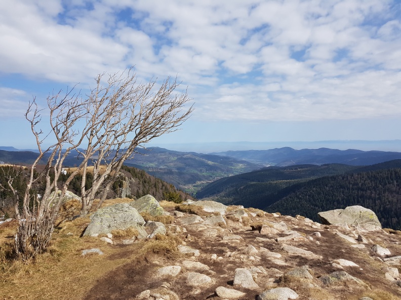 20180407_143003.jpg