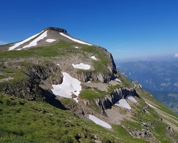 20180708 102238 (2126 visits) 20180708 102238