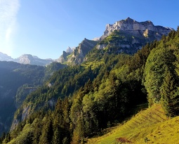 20180708 121018 (2438 visits) 20180708 121018