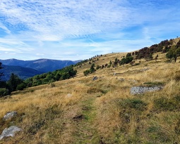 20180922 144639 2 (2544 visits) 20180922 144639 2