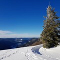 20190119 140350~2