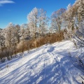 20190119 152606~2