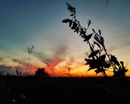 IMG 20200611 222035 981