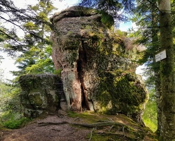 Roche du Grand Tétras
