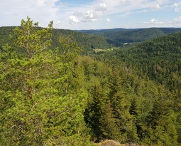Roche du Grand Tétras