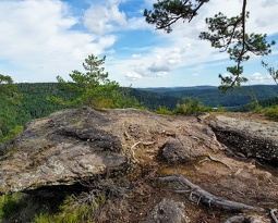 Roche du Grand Tétras