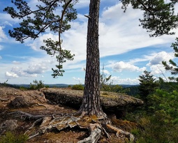 Roche du Grand Tétras
