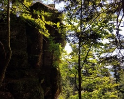 Roche des Plateaux