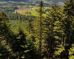 Roche des Plateaux