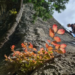 Via ferrata Les Baumes du Verneau
