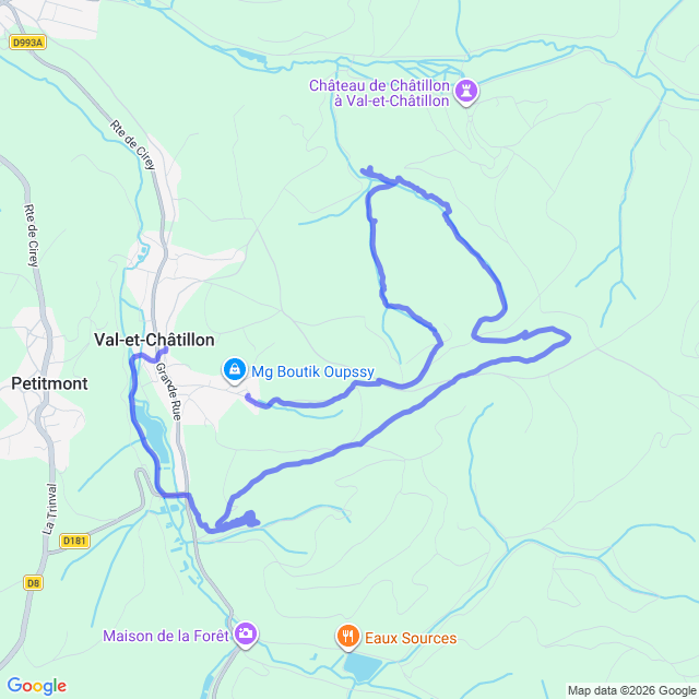carte google