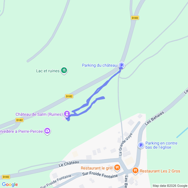 carte google