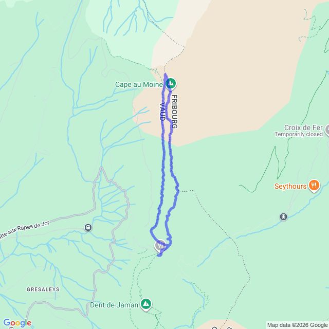 carte google