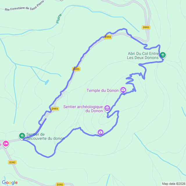 carte google