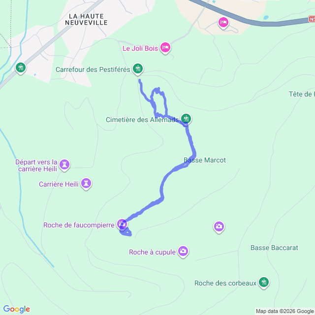 carte google