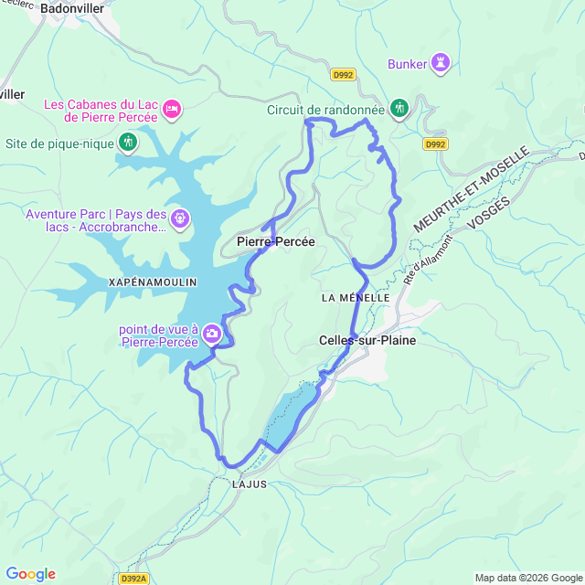 carte google