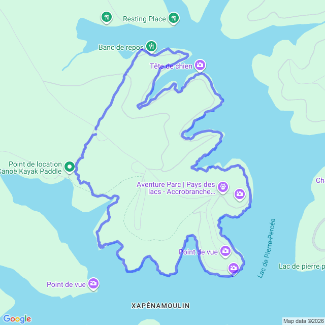 carte google
