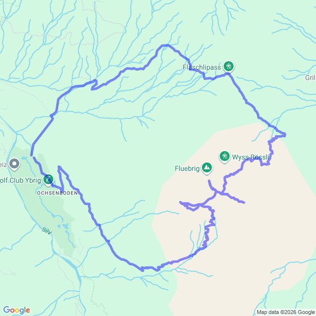 carte google