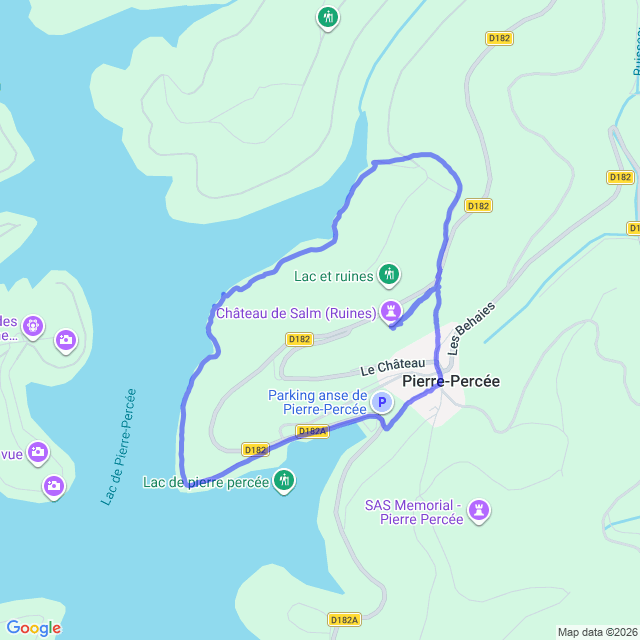 carte google