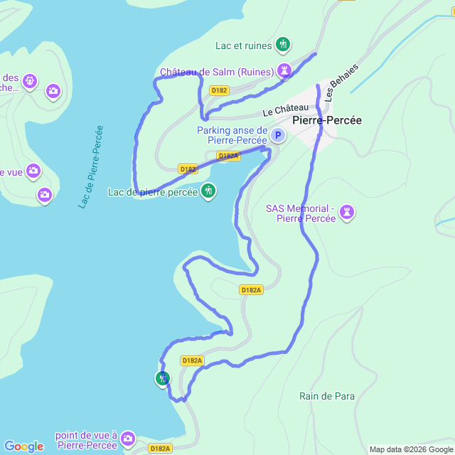 carte google