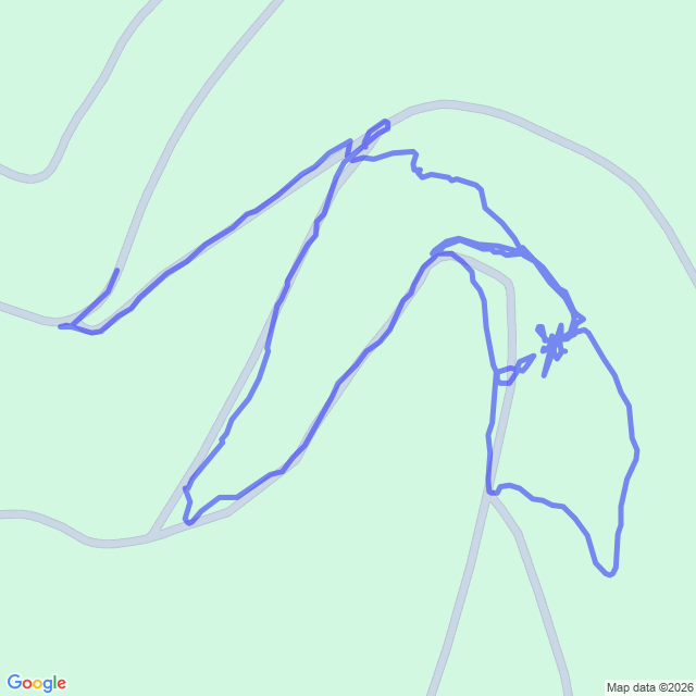 carte google