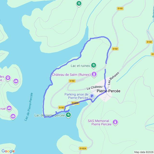 carte google