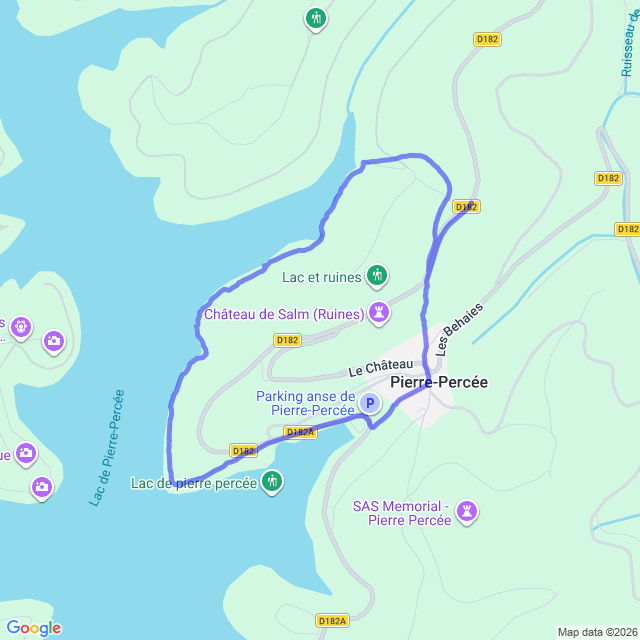 carte google