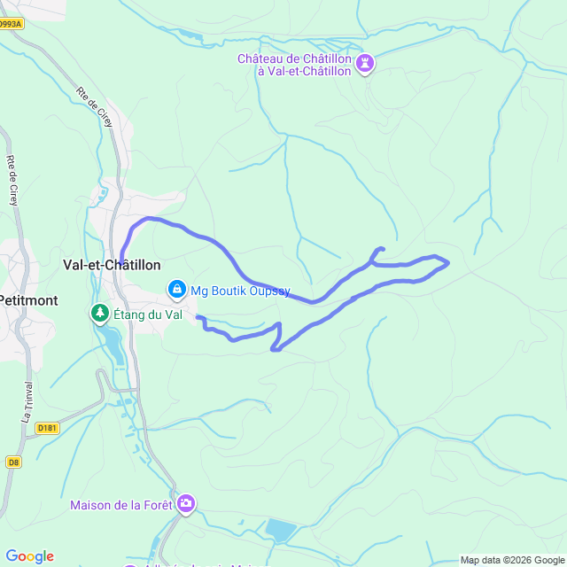 carte google