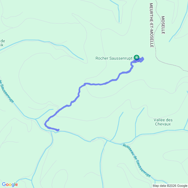 carte google