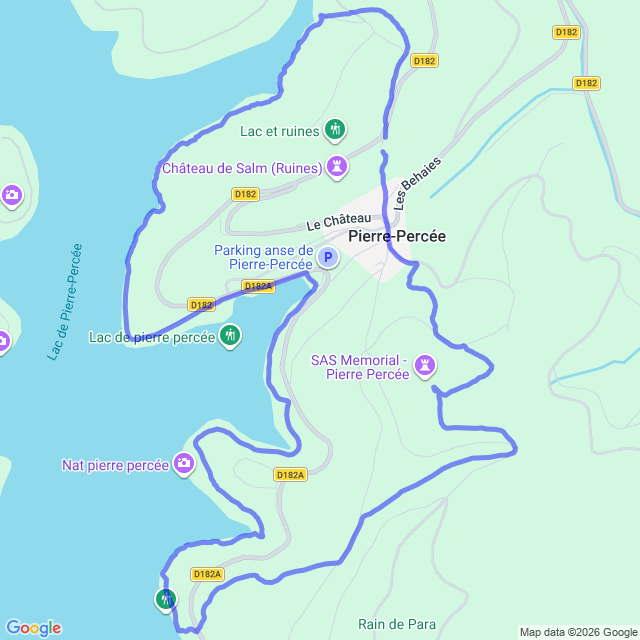 carte google