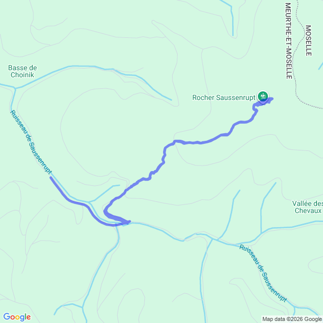 carte google