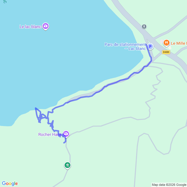 carte google