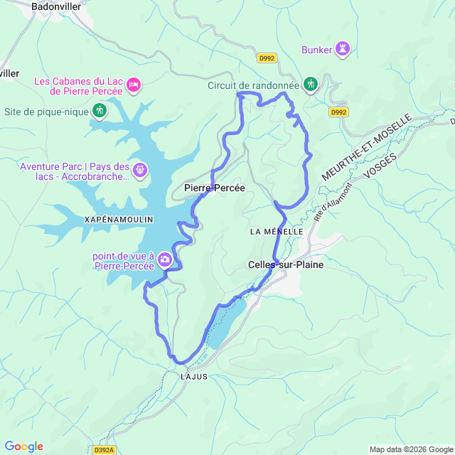 carte google