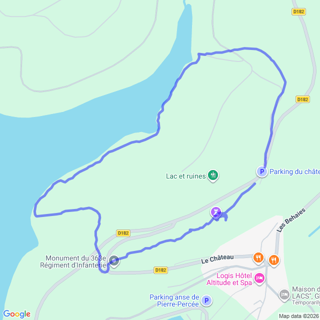 carte google