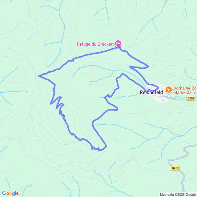 carte google