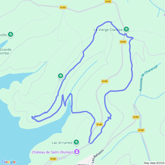 carte google