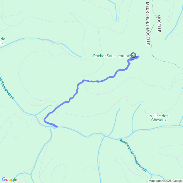 carte google