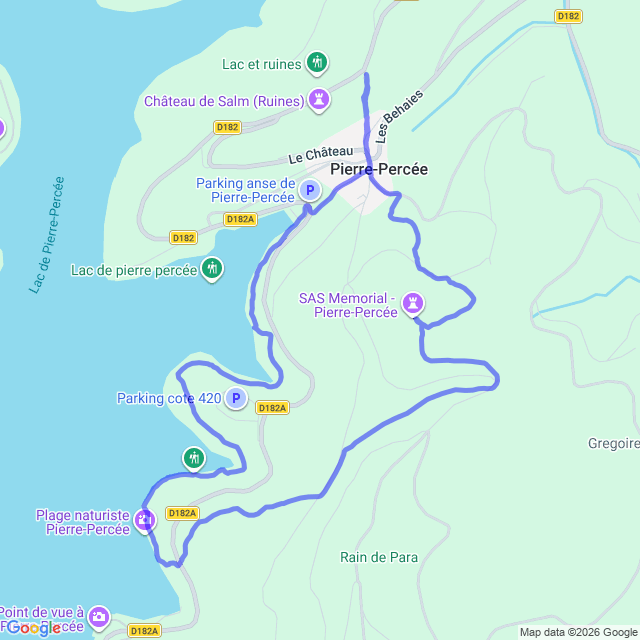 carte google