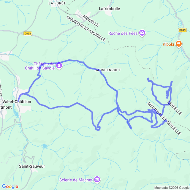 carte google
