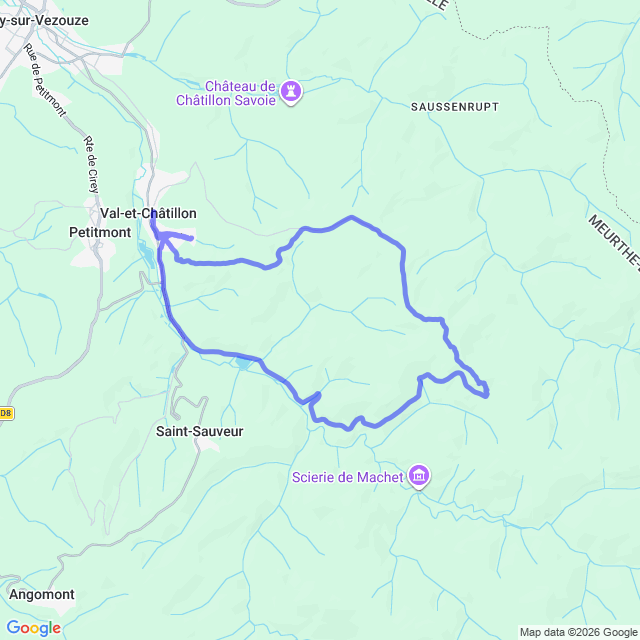 carte google