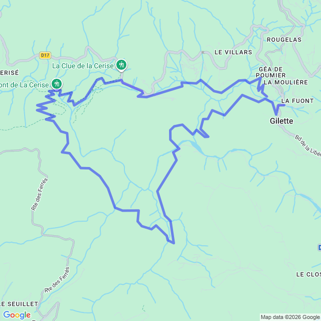 carte google