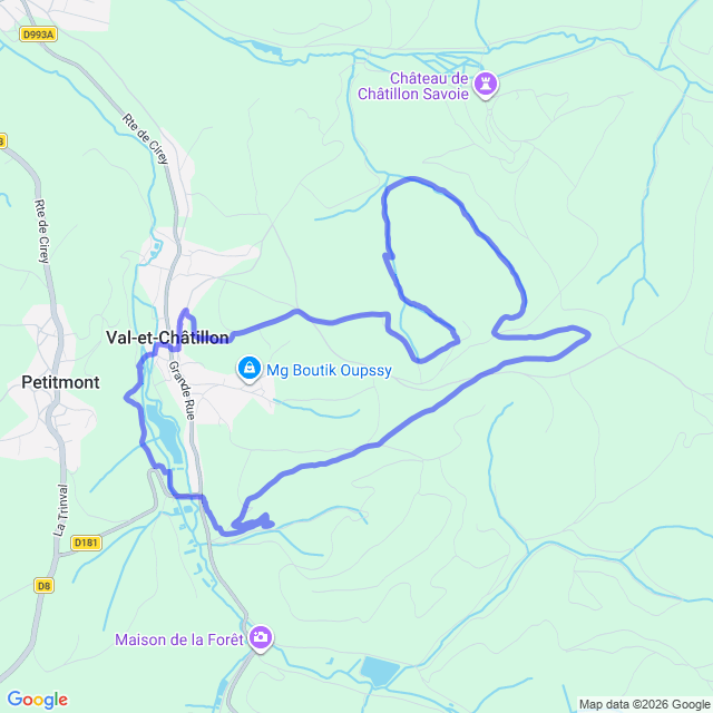 carte google